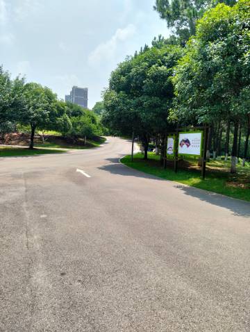 沙湾公园，到此一游。天气不错，出来拍拍照。