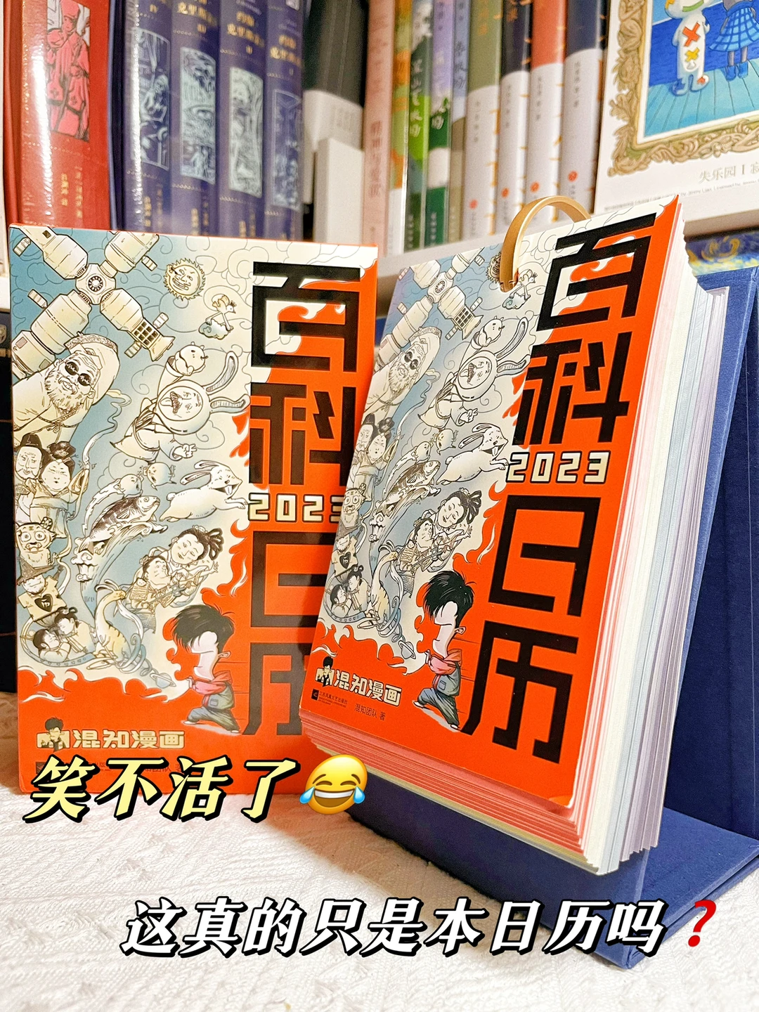 有趣又硬核🔥这是什么神仙日历啊‼️