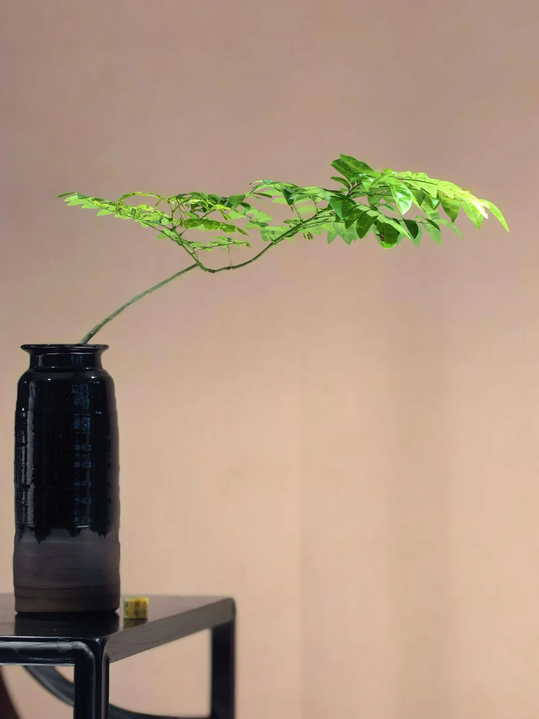 “没点艺术细胞还真刷不到我”