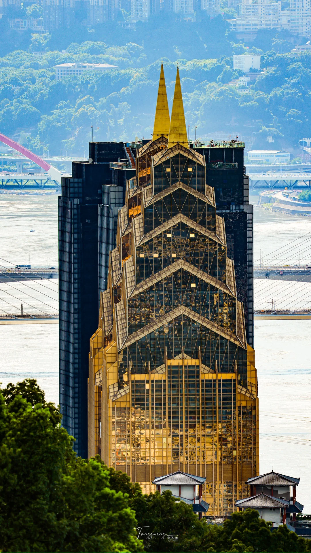 来重庆必打卡的一棵树观景平台🌈‼️