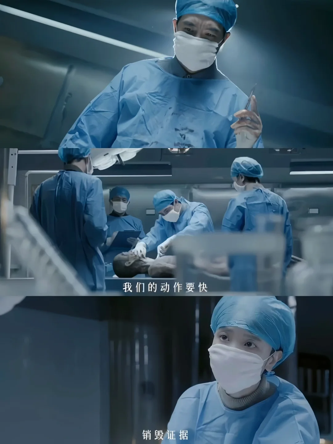 太敢拍了‼️法医悬疑‼️8宗鲨人案‼️全员熟人