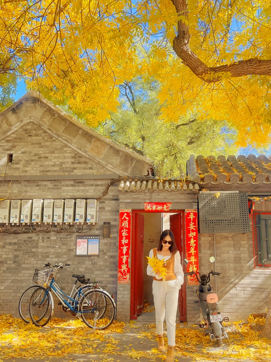 赏秋必来｜一头栽进胡同里和秋天撞个满怀🍂