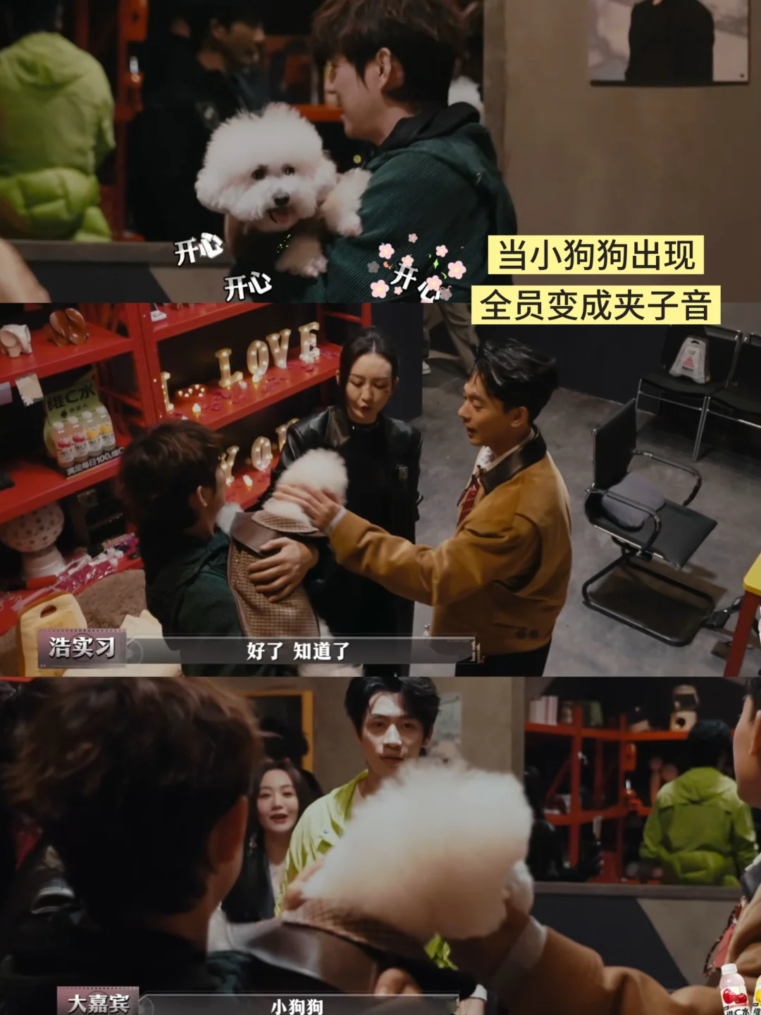 当小狗狗出现，全员秒变夹子音哈哈哈哈 小狗见到大家尾巴都摇成螺旋桨了 ...