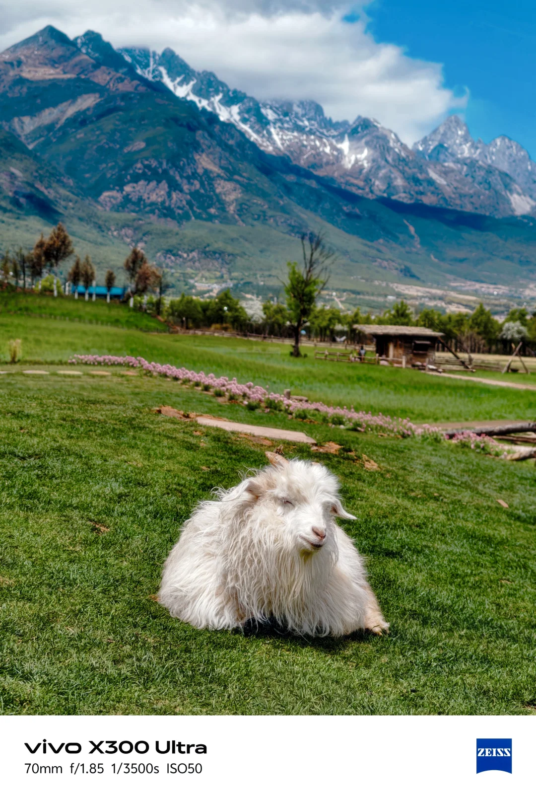“春天是一幅自然的画卷”