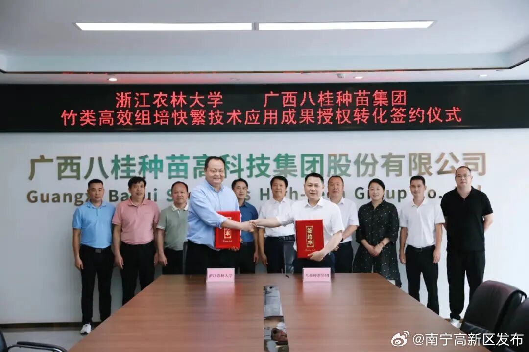 【红铸种业标杆 实干书写新篇——八桂种苗集团党支部获评“南宁高新区先进...