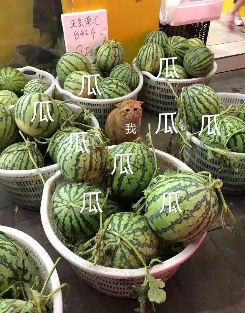 #曝理记冒充国家卫健委名义#我只想在有生之年看到它被判刑[笑cry]否则死了也要持续诅咒大家，这样不太好吧 ​