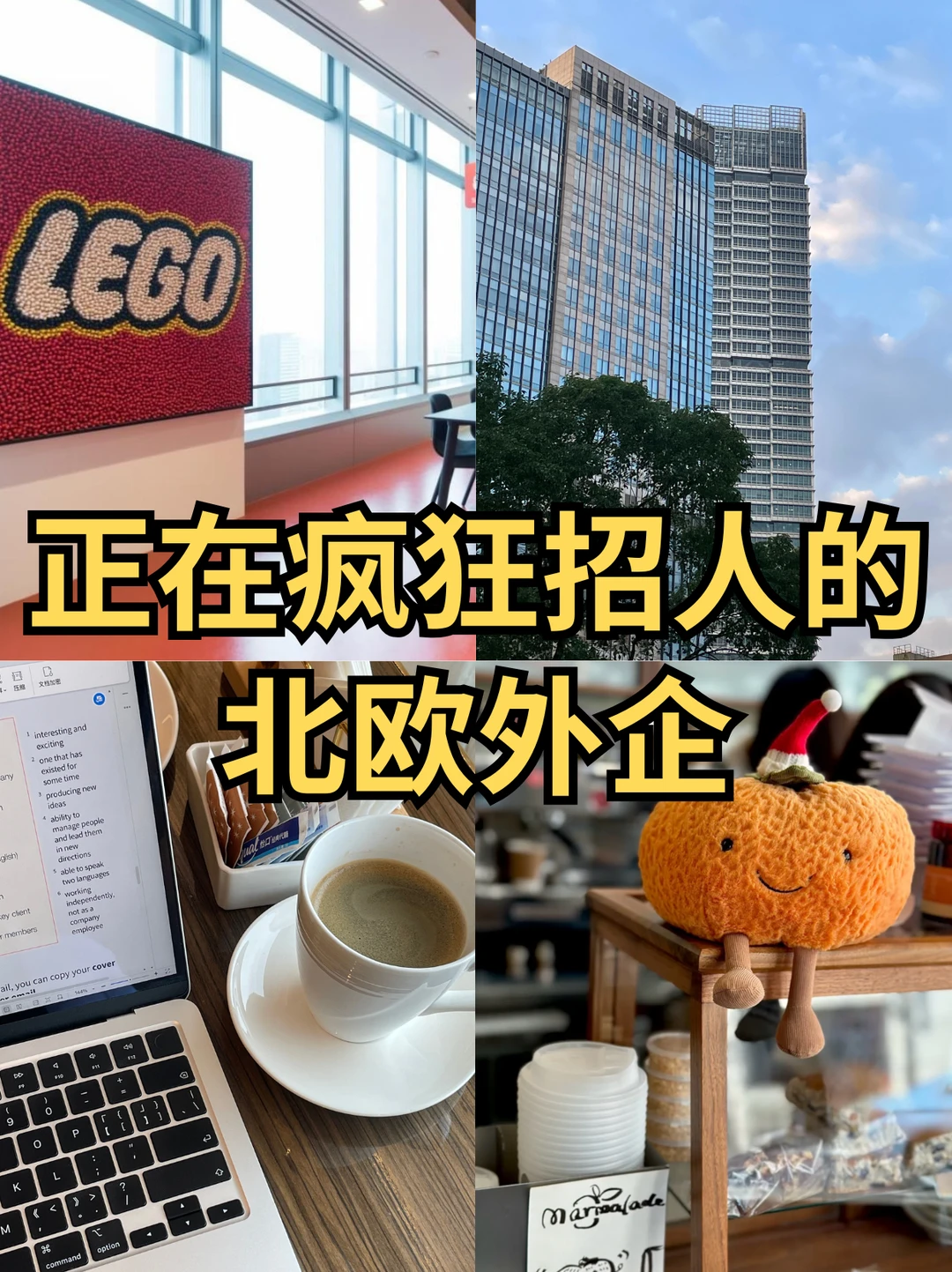 疯狂招人的北欧外企，有想来一起的吗🙋🏻‍♀️