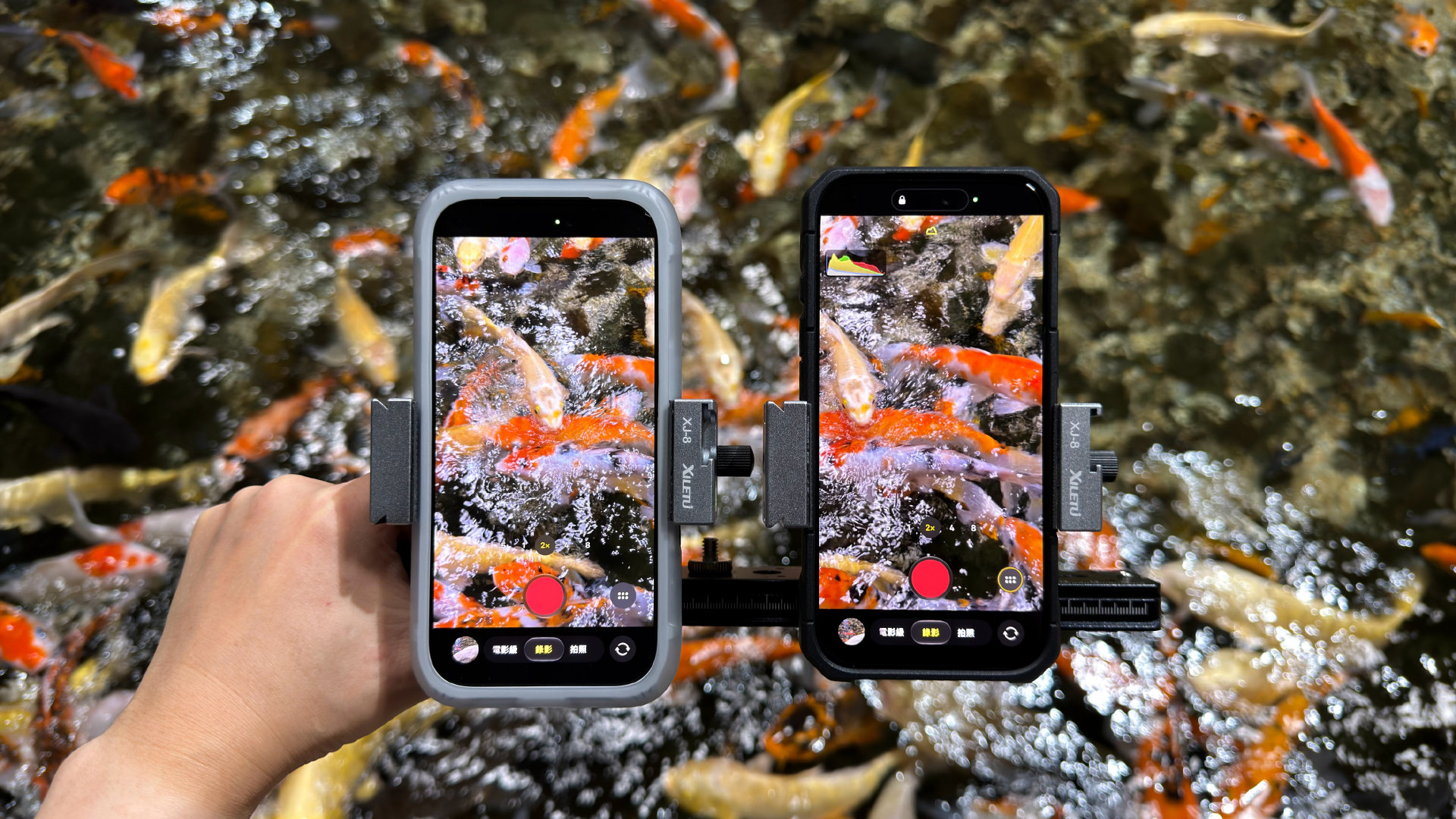 今天开始全方面测试和体验iPhone 18 Pro的相机 ​