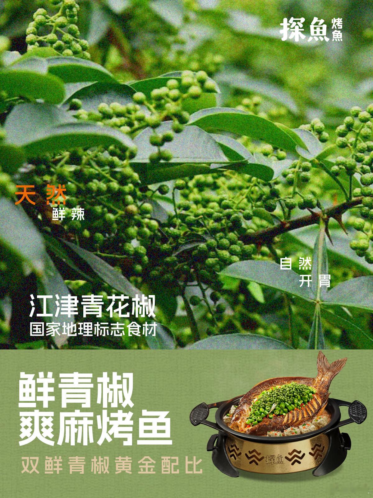 TANYU  |  新 • 鲜青椒爽麻烤鱼  好的鲜青花椒，是不凌厉...