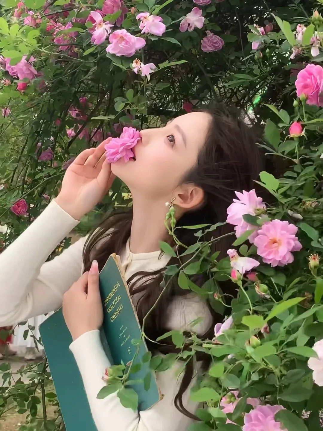 蔷薇花拍照姿势🌸附地址