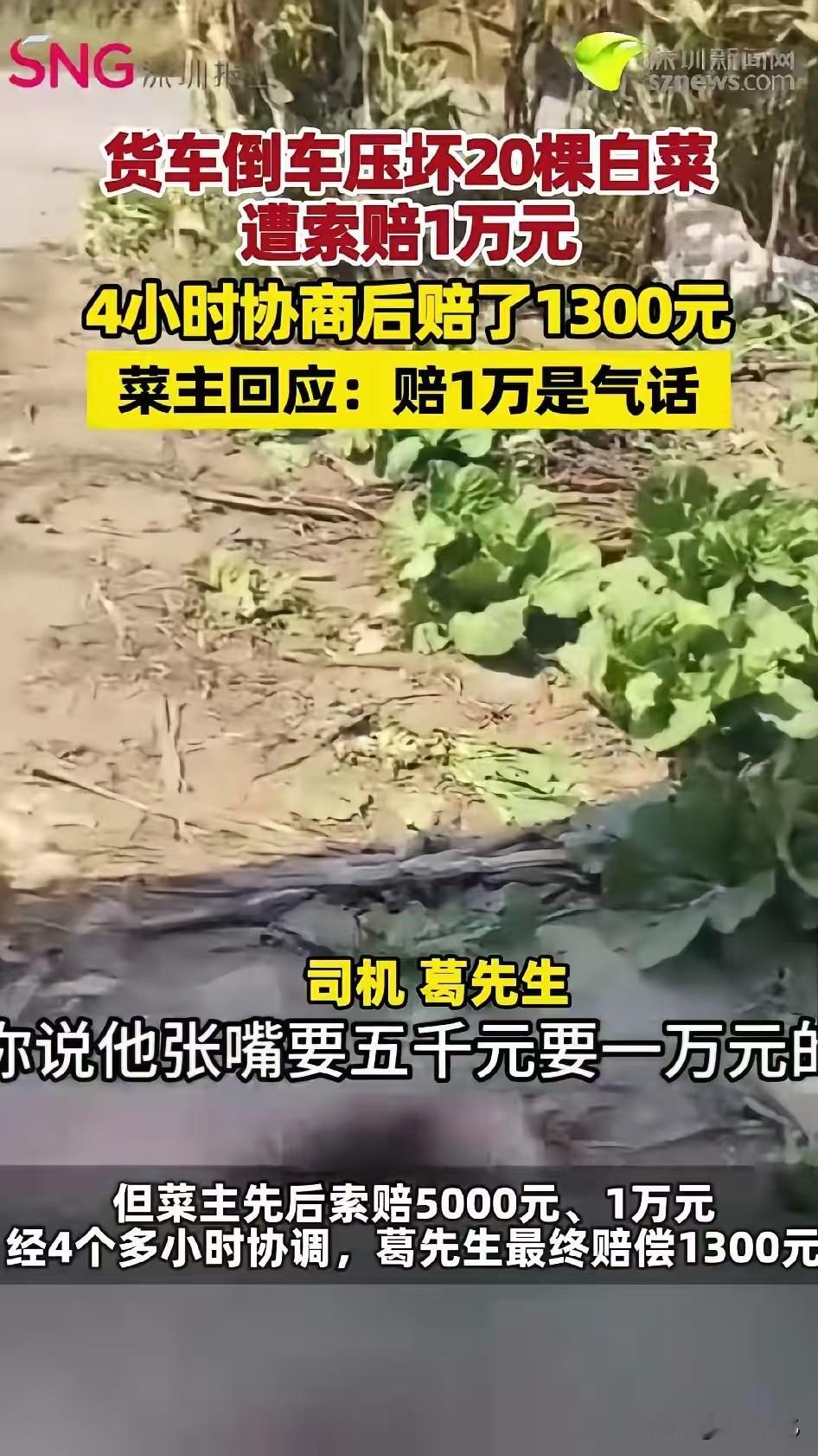 货车倒车压坏20棵白菜，菜主先要5000，再要1万，僵持4个多小时，最后司机赔了1300。葛先生开货车在菜地附近倒车，操作失误，压坏了地里20棵还没采收的白菜。菜主一开始要5000，后来涨到1万。理由是司机压完想跑，态度不好，他生气了。双方拉扯了4个多小时，有中间人和民警参与协调，最后司机掏了130