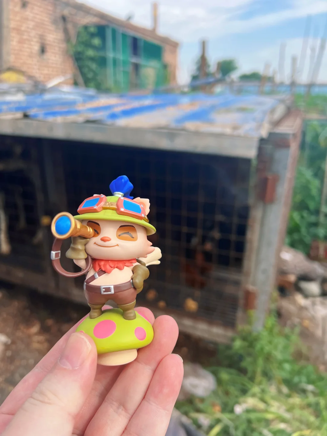 提莫先看！藏獒！