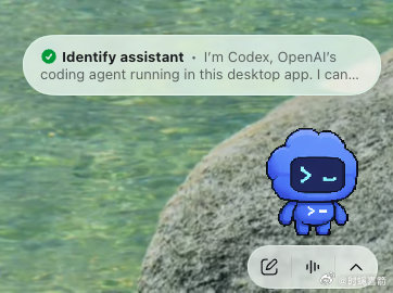 Codex 助手？？？ ​