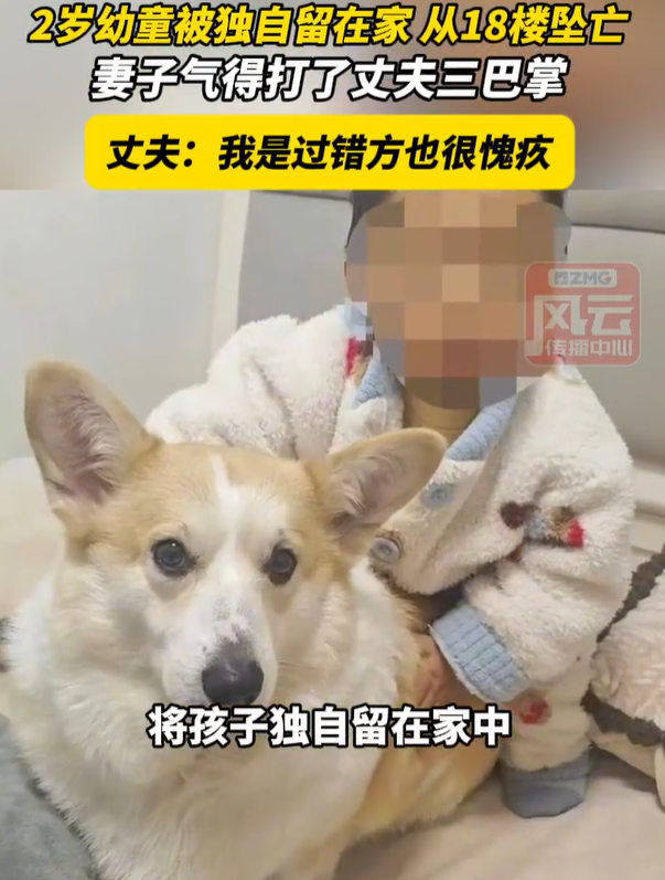 【坠亡幼童父母曾多次因家务育儿理念争吵】2岁幼童坠亡妻子怒扇丈夫耳光 近日，重庆一名2岁2个月大的幼童从18楼坠下身亡。母亲刘女士发帖称，事发当天丈夫崔先生外出遛狗，将孩子独自留在家中。崔先生称，9月13日，他将孩子安置在沙发上看动画片后出门遛狗，离开仅12分钟，回家后发现孩子不见，随后听到楼下