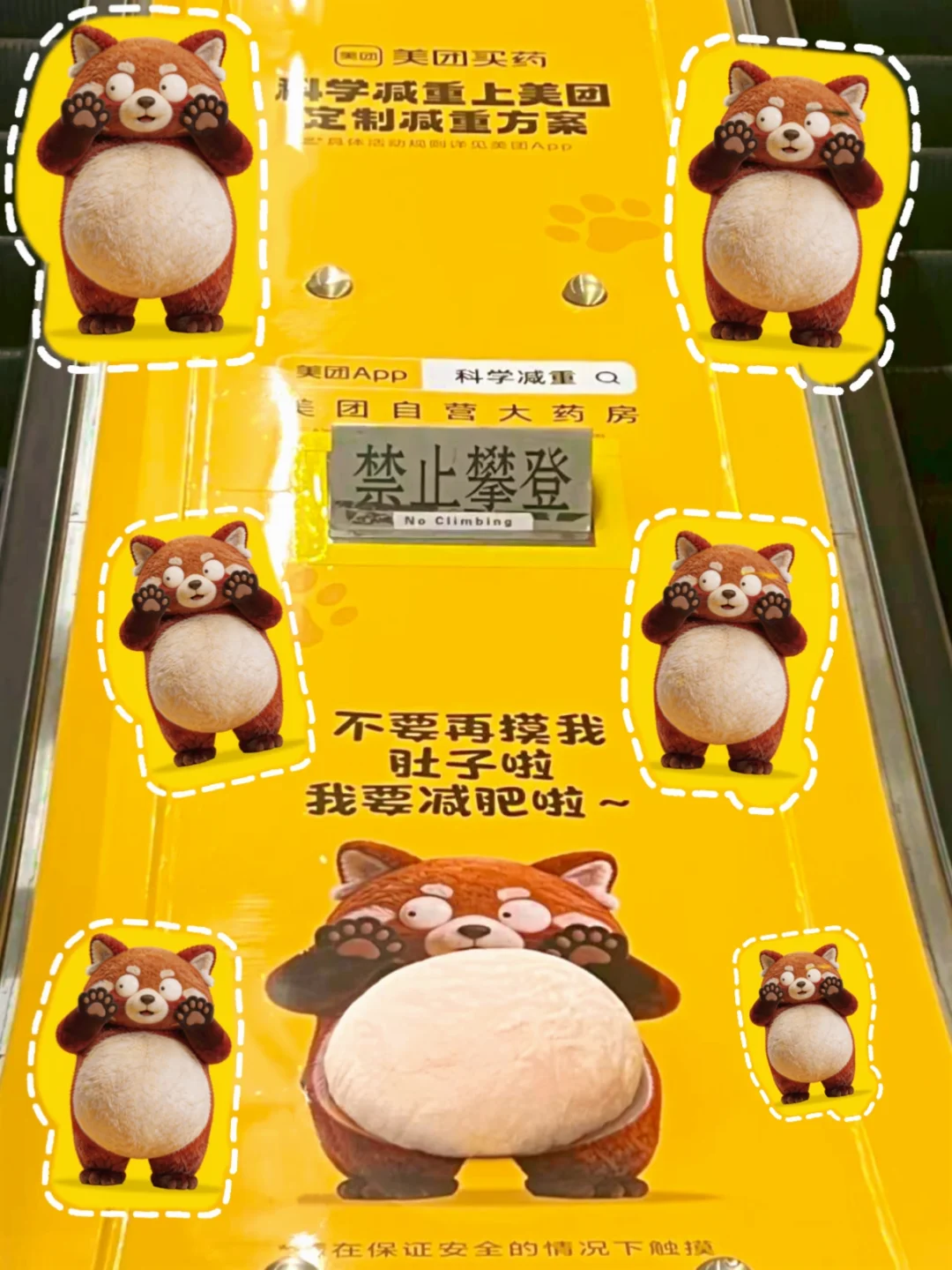 扶梯上的软萌小肚皮，太有意思了