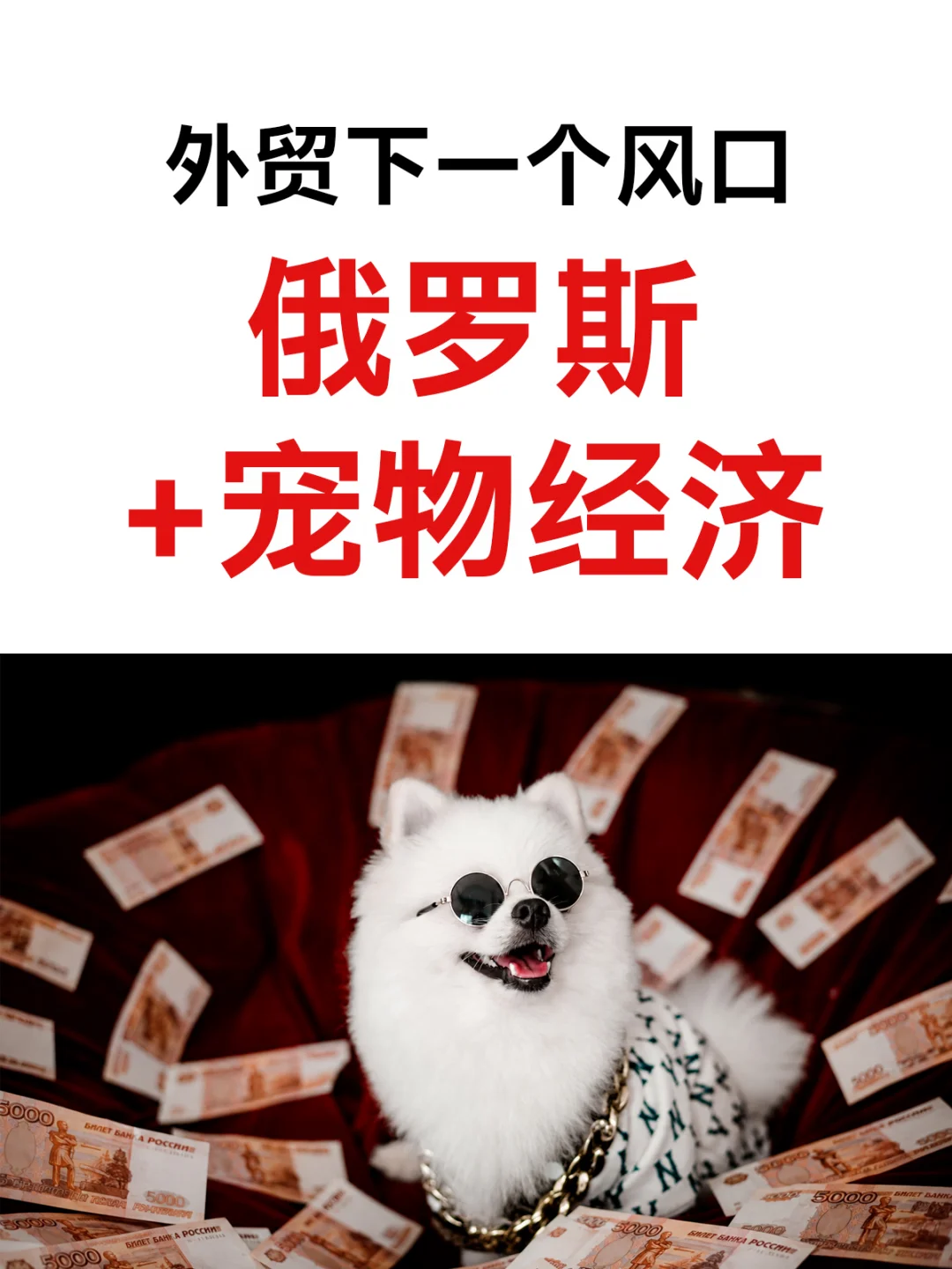 外贸下一个风口，俄罗斯+宠物经济！