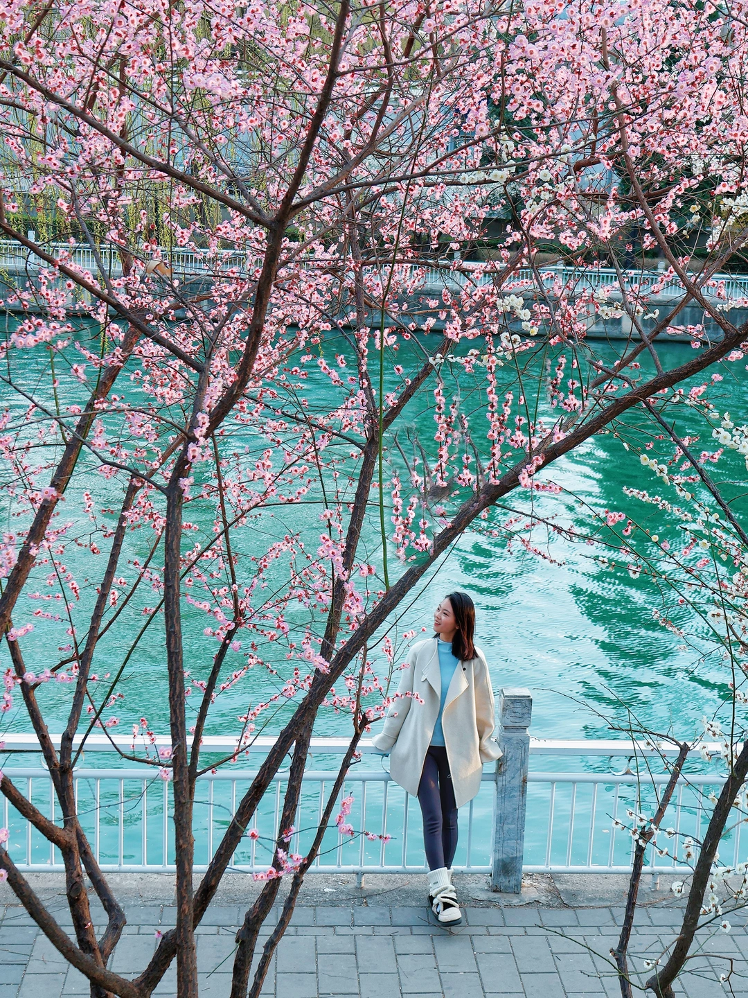 3.13全城桃花开爆‼️6️⃣条周末赏花路线