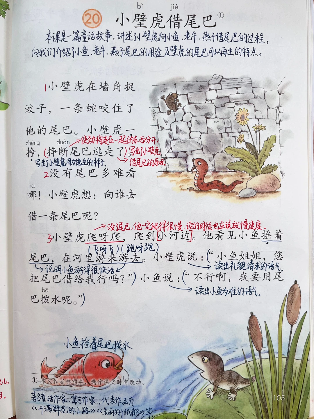 一年级下册语文｜20.《小壁虎借尾巴》课堂笔记