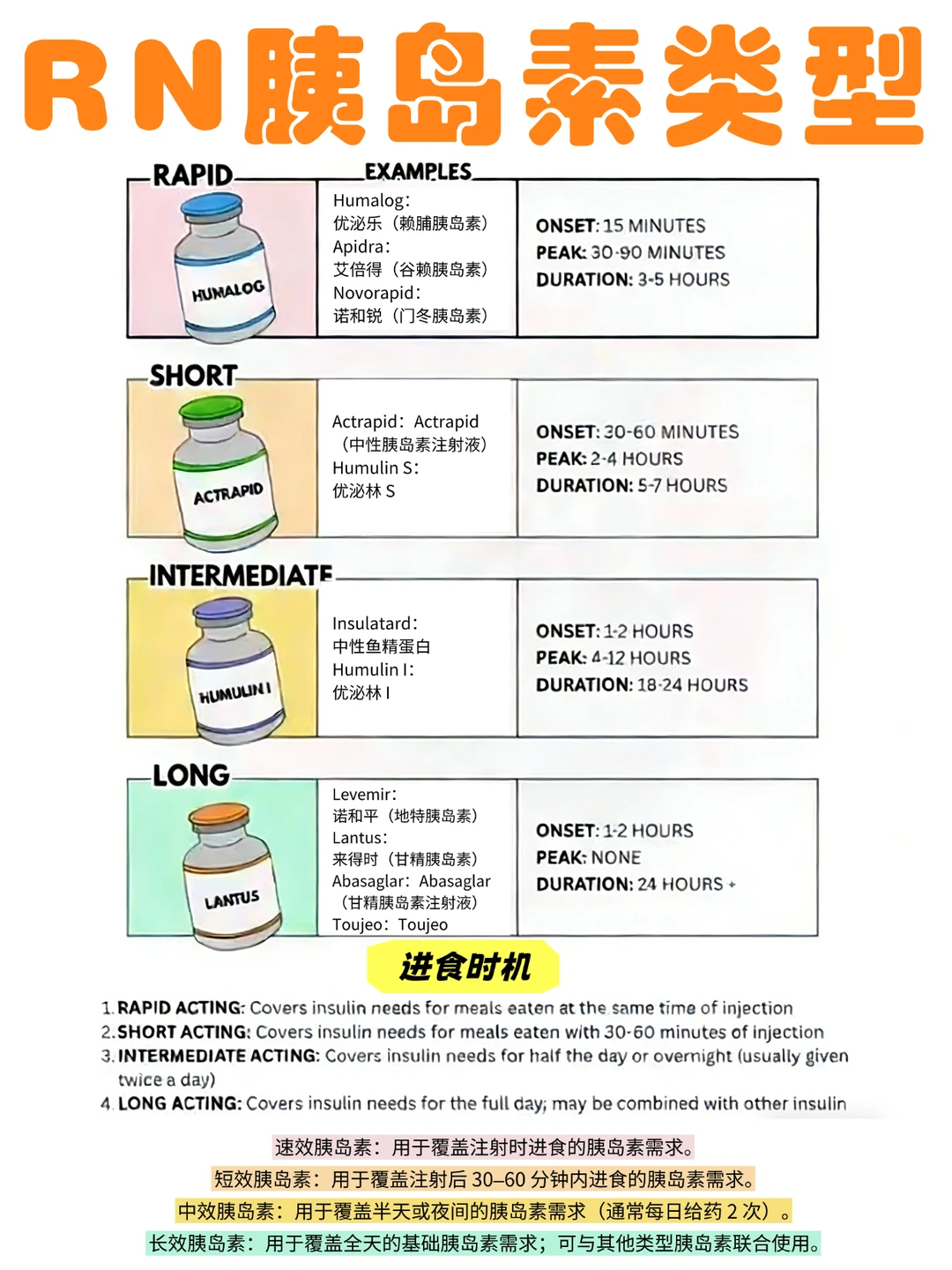 备考RN/常见胰岛素类型！！学！！单词