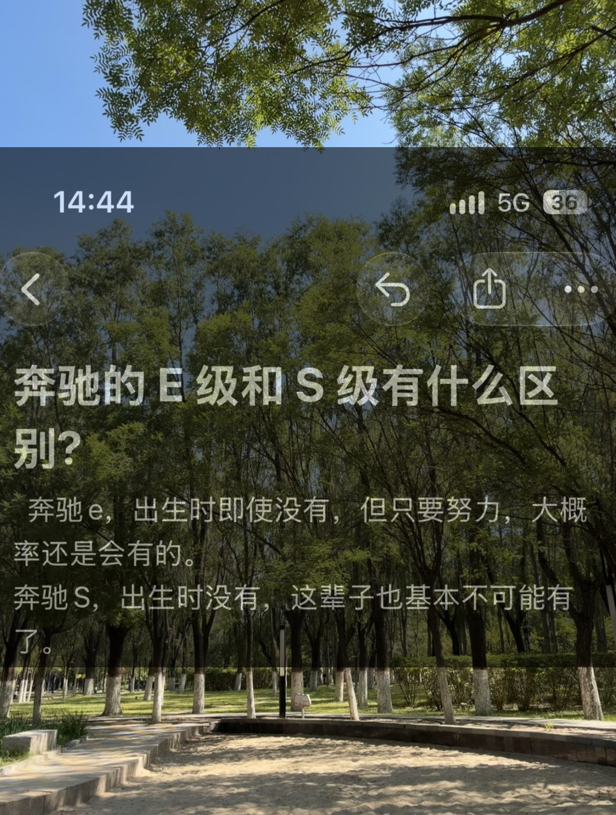 奔驰的 E 级和 S 级有什么区别?奔驰