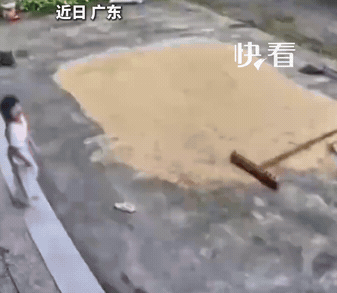 “上新华社了!”广东，大雨将至，院里晒着稻谷，大人又不在家，5岁女孩急得大哭，一边哭一边抢收谷子，哪料，这时4个小伙伴陆陆续续赶来帮忙，5个娃齐心协力将谷子归拢，再收进袋里，连小狗都来帮忙了，真是太治愈了。而刚刚收完后，大雨就来了。

网友：好懂事的孩子们，人多力量大！这不就是我们小时候吗？童年的回
