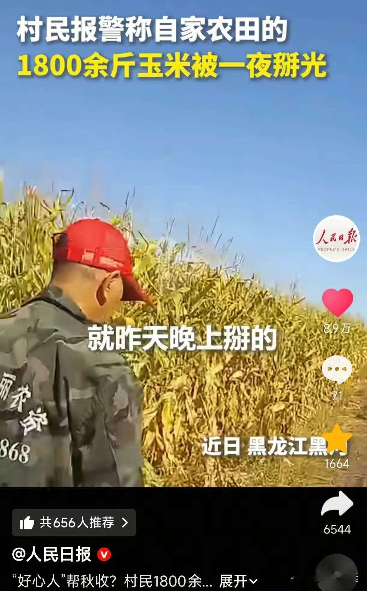 “上人民日报了!” 黑龙江黑河，一位村民早上起来掰玉米，哪料，走进农田一看，惊呆了：1800斤玉米竟被人一夜掰光，一大块田全是空杆，玉米棒子不翼而飞！

这事儿是北安那边一个村民报的案，一大早跑到派出所，说自家地里玉米让人掰了个精光，一千八百多斤，一夜之间就剩一片空杆子杵在那儿。我看到“空杆”这词，