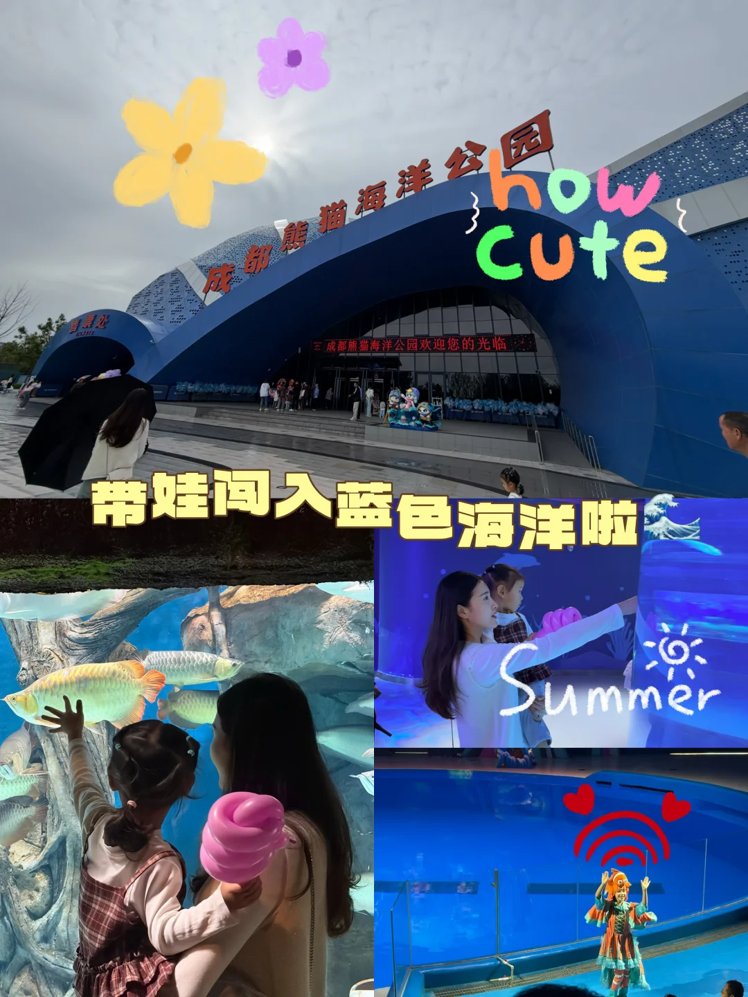 带娃打卡成都熊猫海洋公园🌊