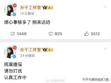 孙千工作室辟谣网传与陈飞宇恋情“烦心事够多了，别来沾边”被网友质疑一语双关。

之前陈飞宇 孙千曾合作过的《纯真年代的爱情》，两人看起来相处的挺融洽的，孙千应该不是在说陈飞宇吧？