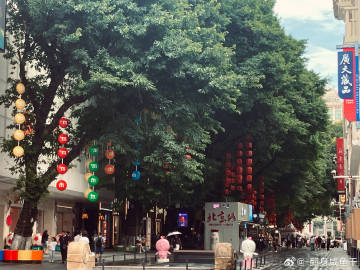 广州老城区的建筑确实很有味道，雨后避开节假日citywalk很舒服。<...
