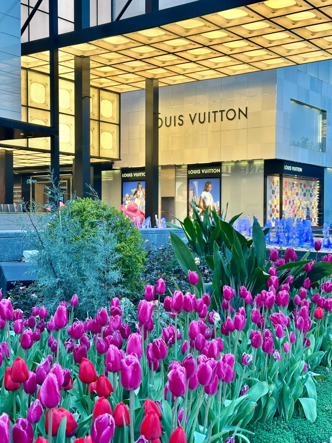 杭州真的太会了！杭州大厦的郁金香开了！🌷