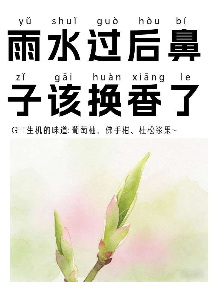 雨水该换什么香？现在精致人都按节气卷鼻子