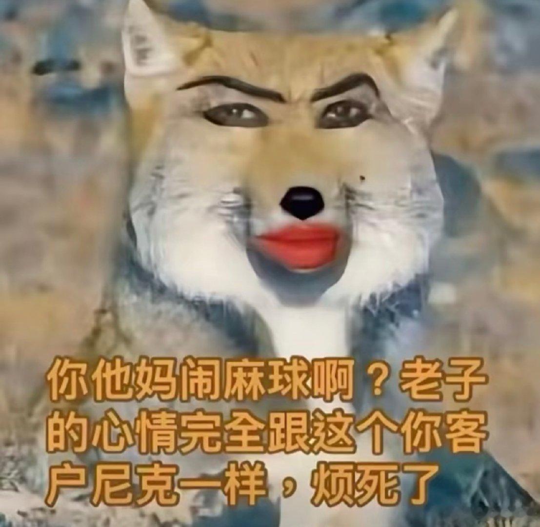 学了十年英语只有初中水平 ​