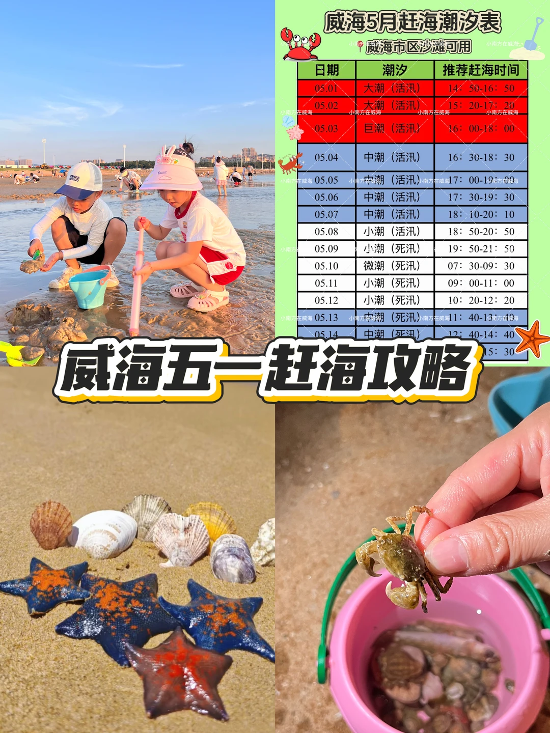 威海五月赶海攻略！5月1日就是大潮！冲！
