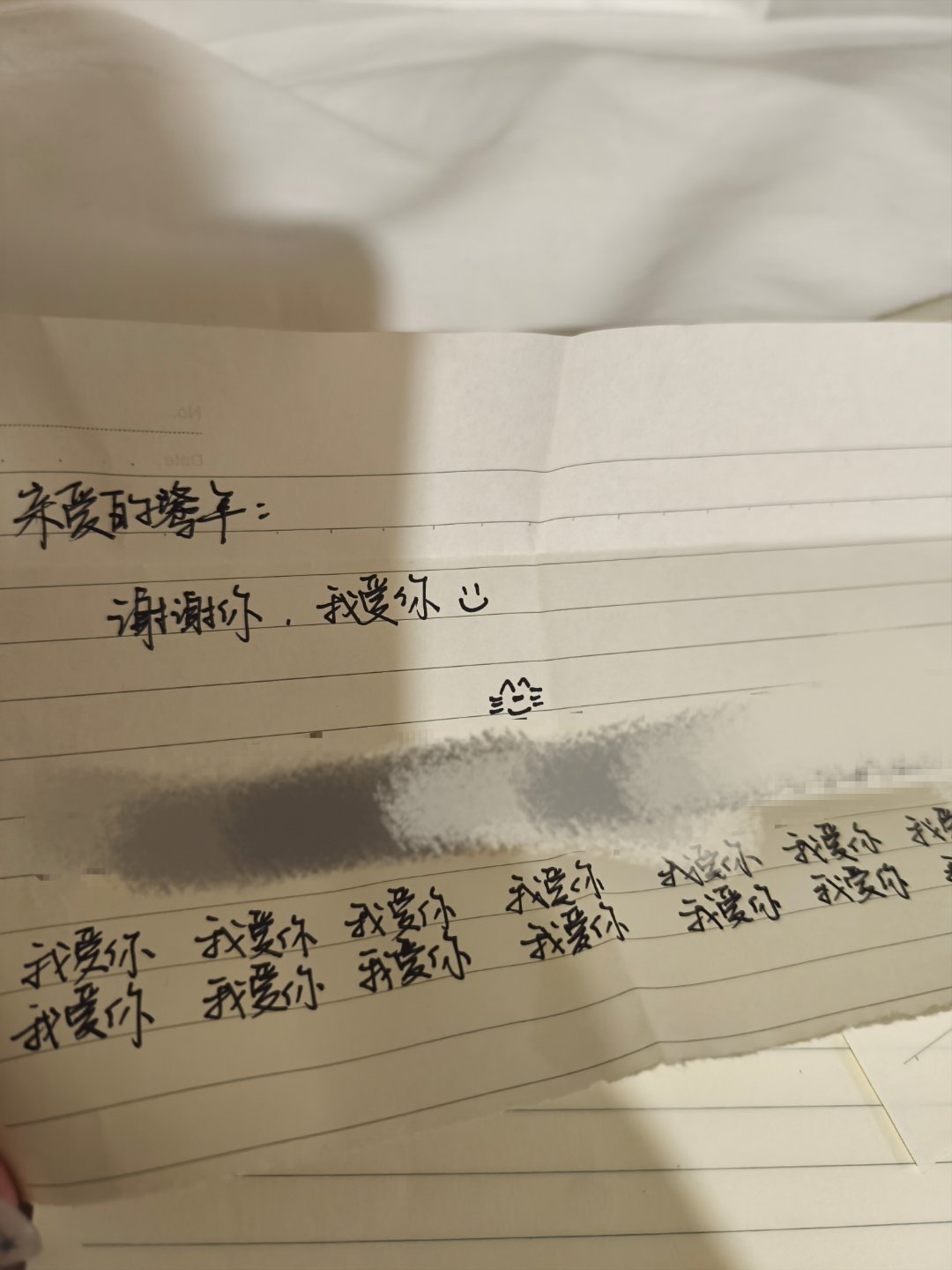 因为不好好写信被呼呼罚抄我爱你一百遍