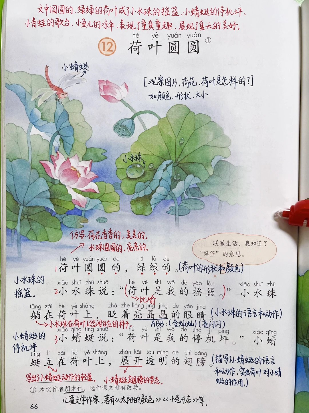 一年级下册语文｜12.《荷叶圆圆》课堂笔记