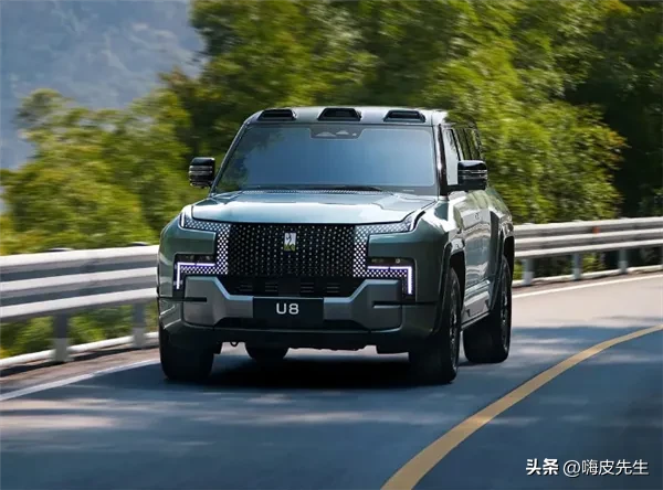 中国电动车界的985和211。

（这里面要把特斯拉排除在外，他就相当于国外的大学，不参加排名）
首先是985。最强的清北对应的是比亚迪仰望和蔚来的ES8。C9对应的是理想汽车的L7L8L9、华为的问界和智界。小米的su7和御7。比亚迪的腾势。吉利的极氪。 小鹏汽车的G6G9也在985行列。零跑汽