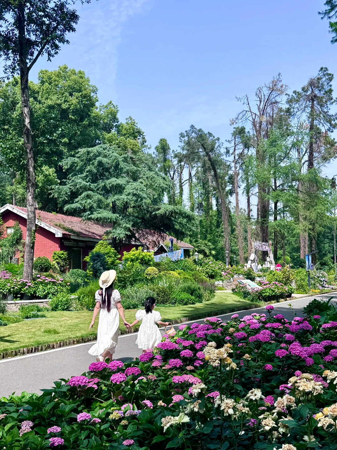 5.7实拍，绝了‼️武汉植物园的无尽夏已开爆了