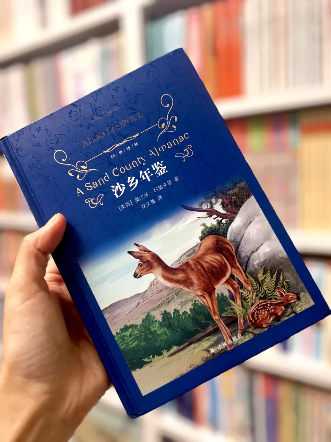我会反复拿出来看的一本书