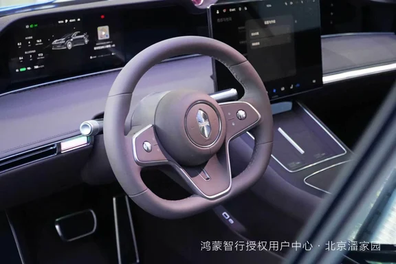 是的！是的！这就是我想要的车！