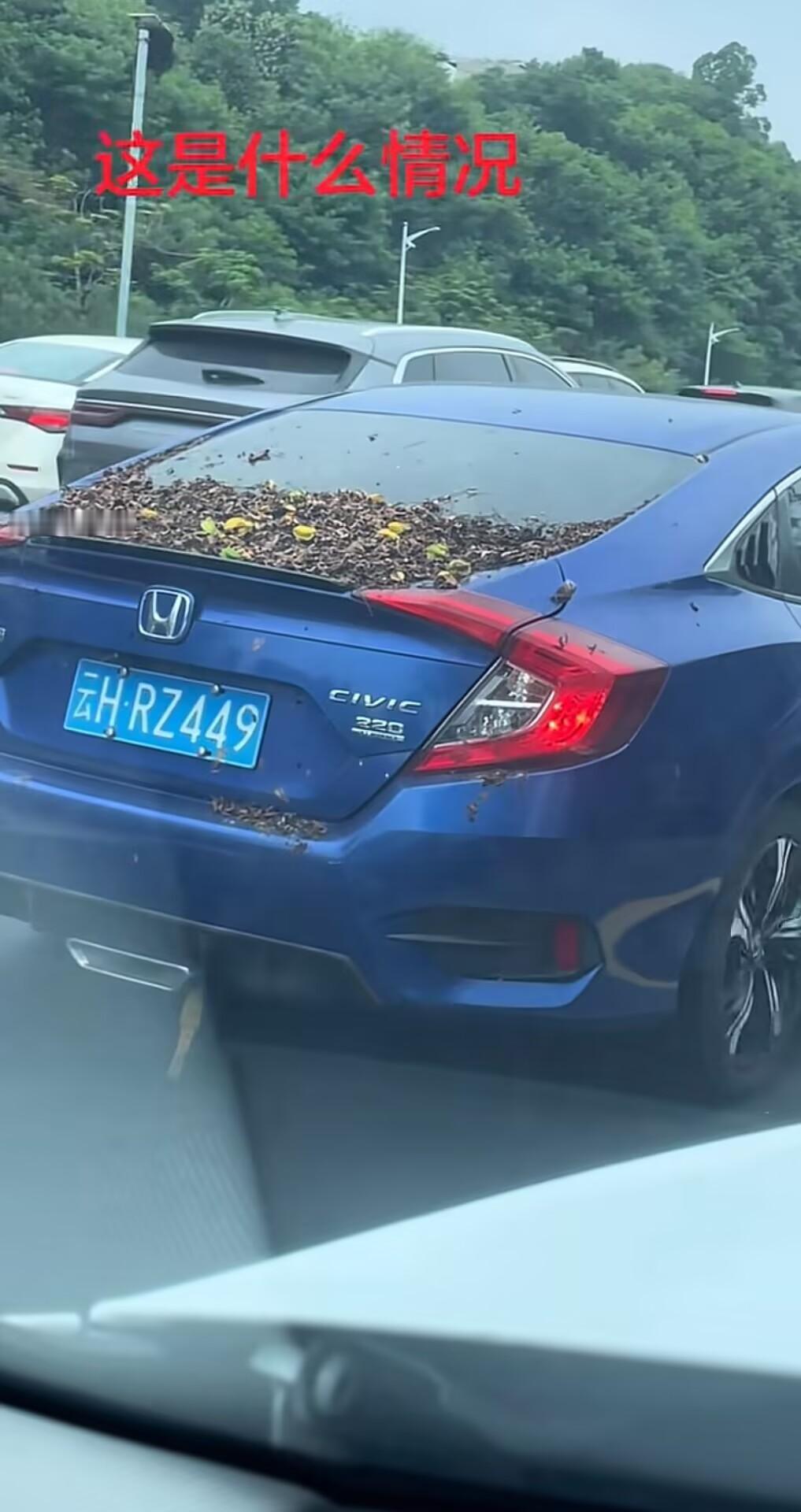 国庆中秋还没到，高速已经先&