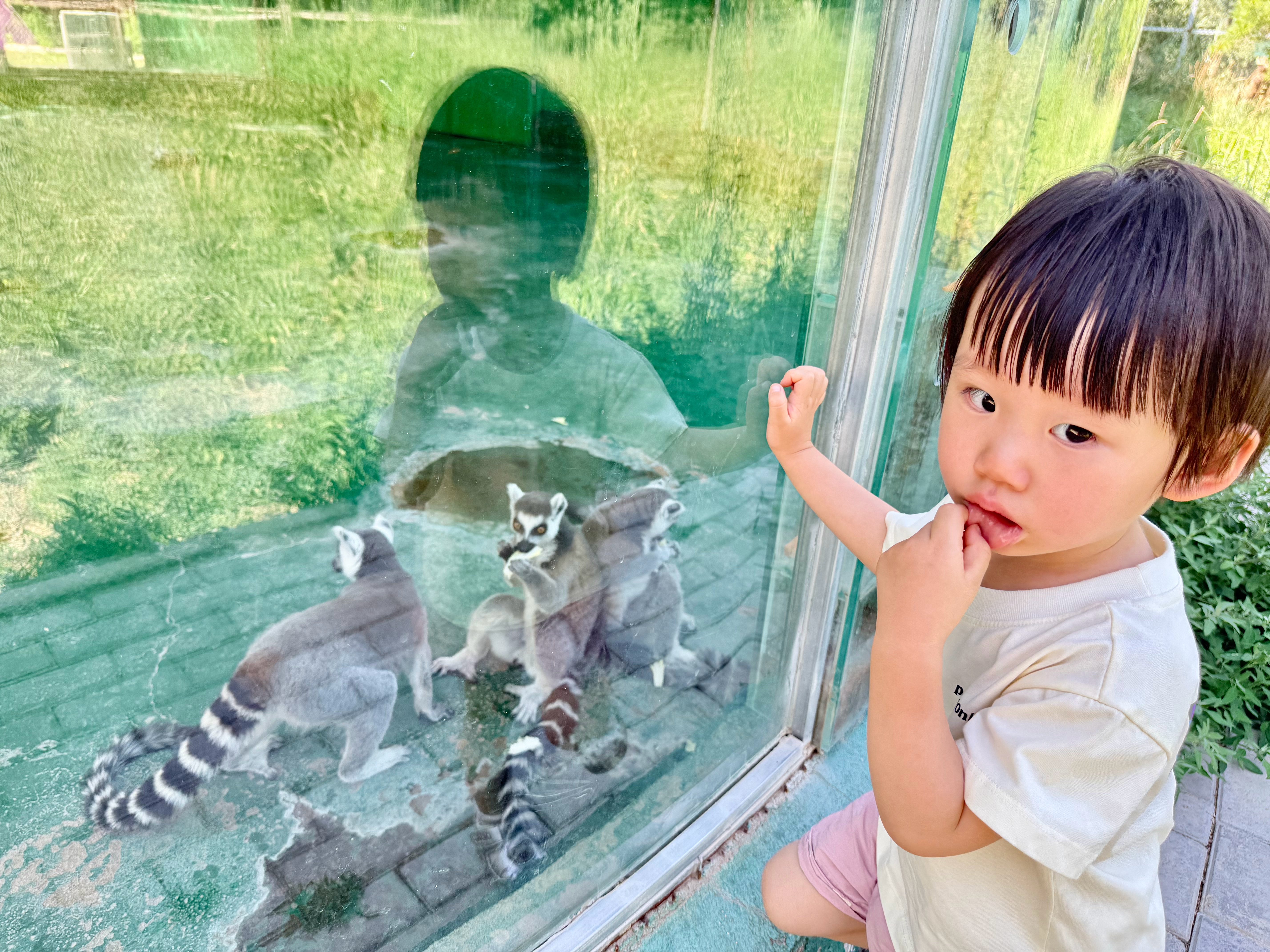 预告第二弹（鸣翠湖）  果然夏天户外遛娃是需要一些勇气的，但小朋友们玩...
