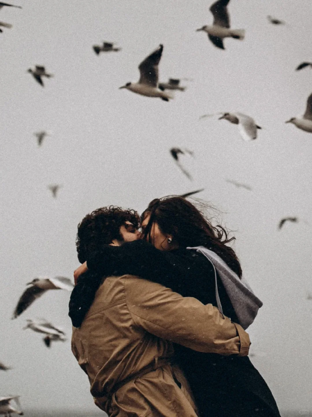 【每日分享】 温柔的印记—Maley的视觉诗篇