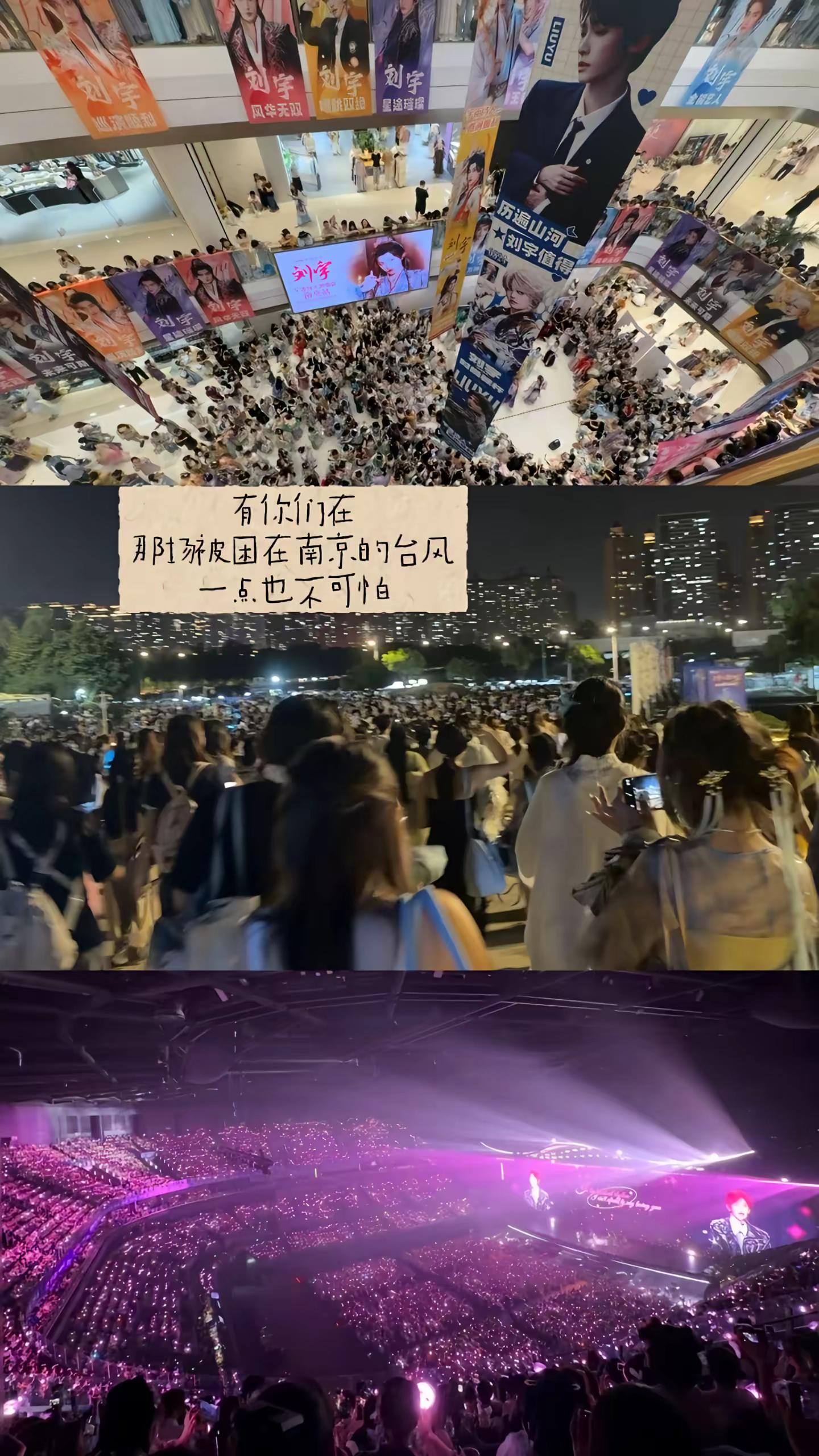 现场找不出一颗没洗的头。线下演唱会的意义 演唱会现场