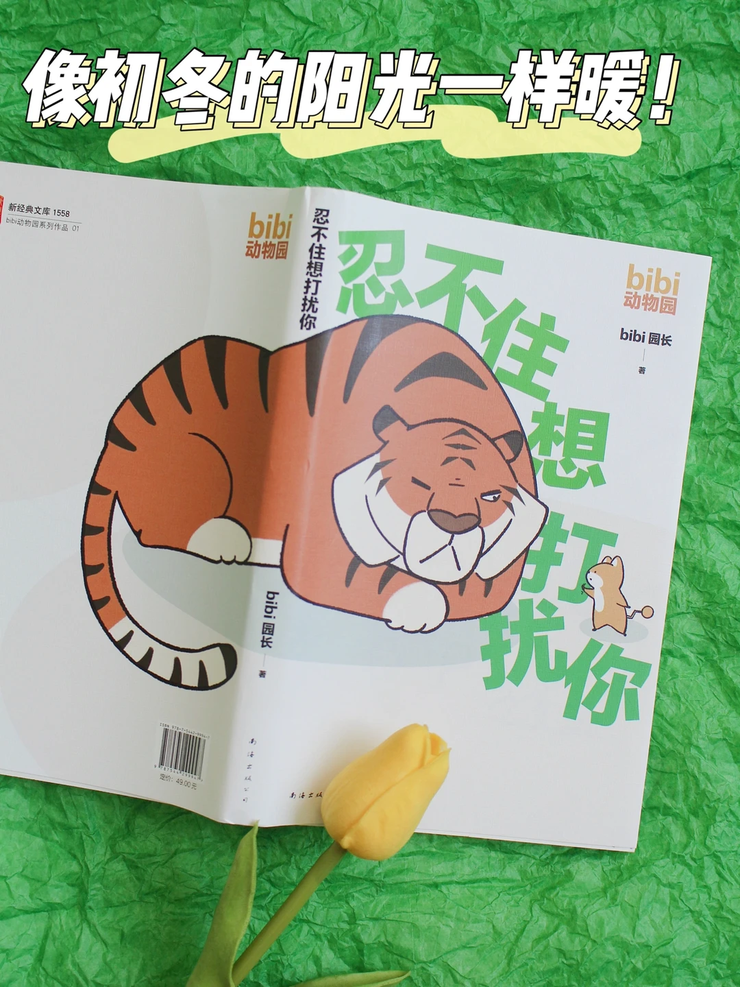 豆瓣高分治愈绘本，看完暖上一整天！