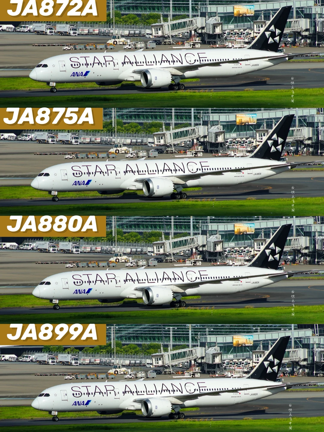 全球4架787-9星空联盟，都是「全日空」的❗️