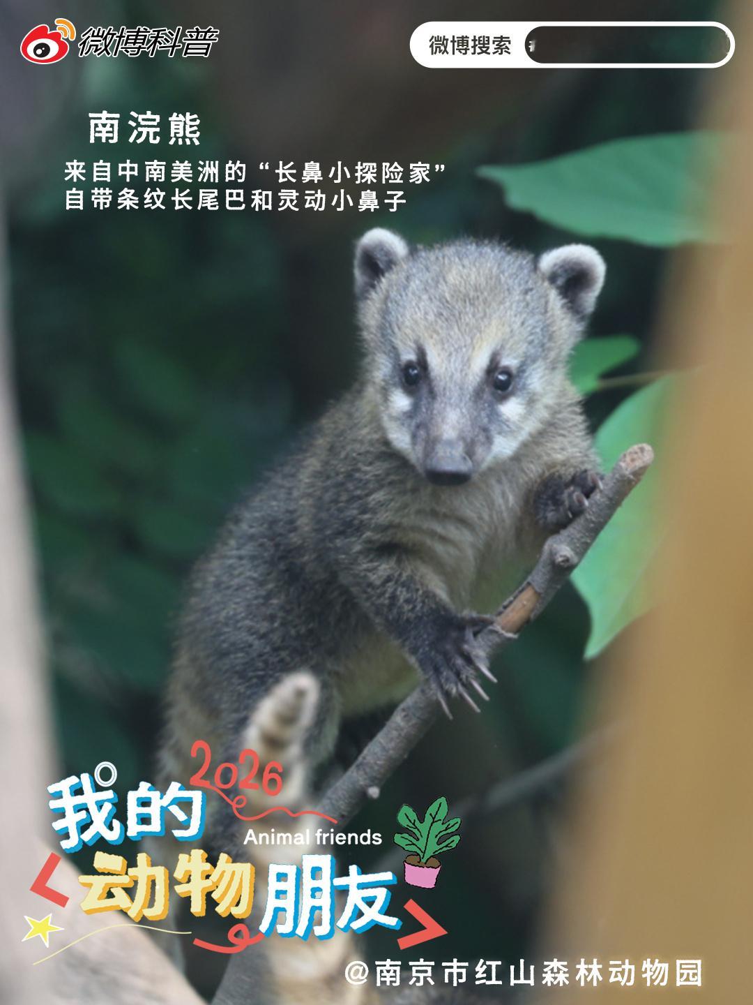 宝藏精选第五十二期生灵百态各有萌趣，山野林间、城市园区、深海秘境皆藏惊...