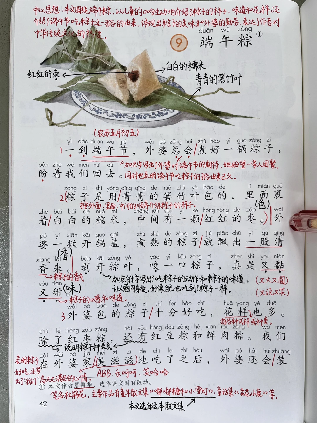 一年级下册语文｜9.《端午粽》课堂笔记及延展