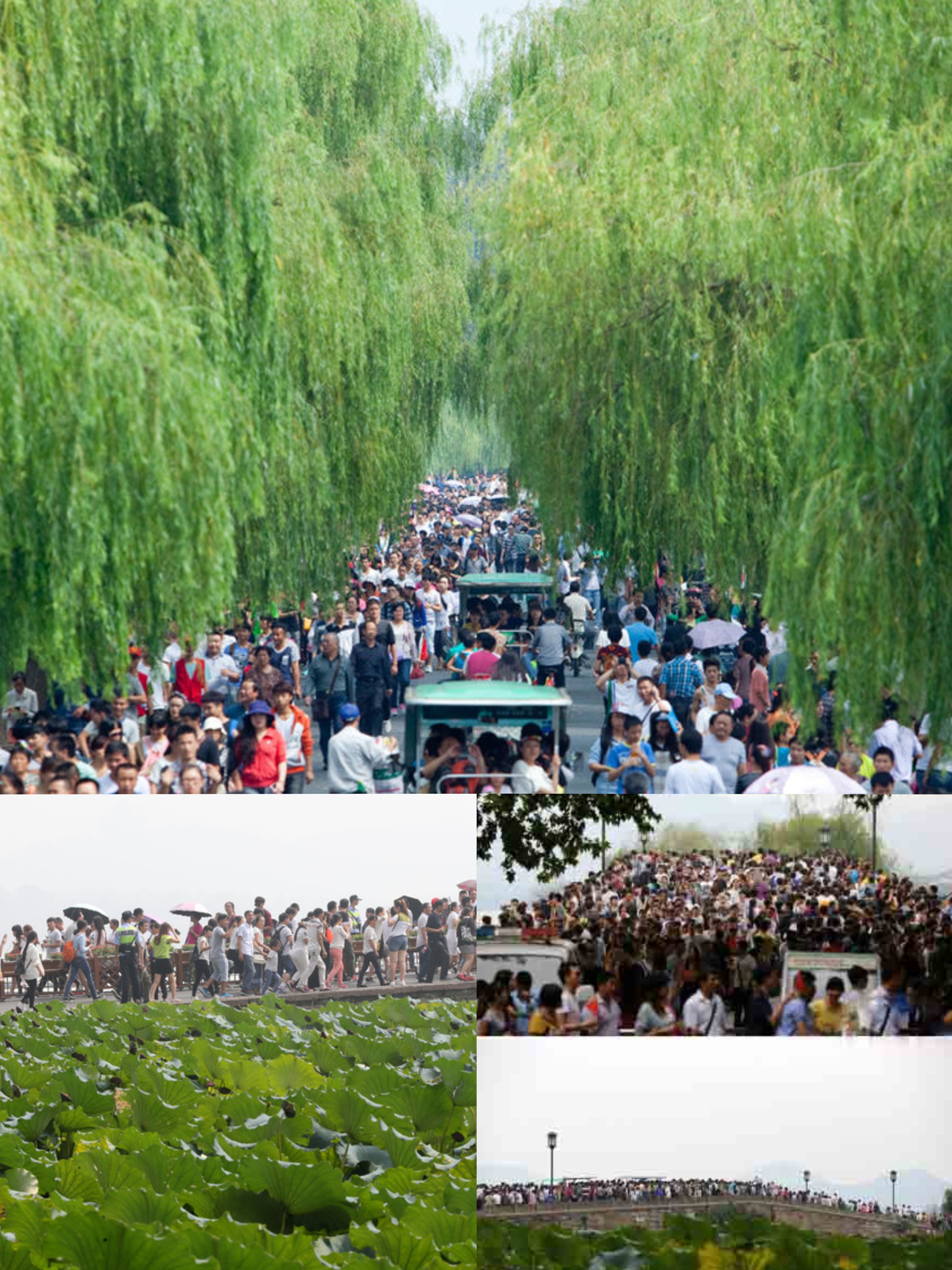 一眼望不到头！国庆次日西湖断桥迎来超大客流
 
10月2日来到国庆假期的第二天，杭州西湖断桥直接陷入人山人海的局面。这段自带传奇色彩的古桥，成为不少游客来到杭州的必到站点，海量游客从全国各地