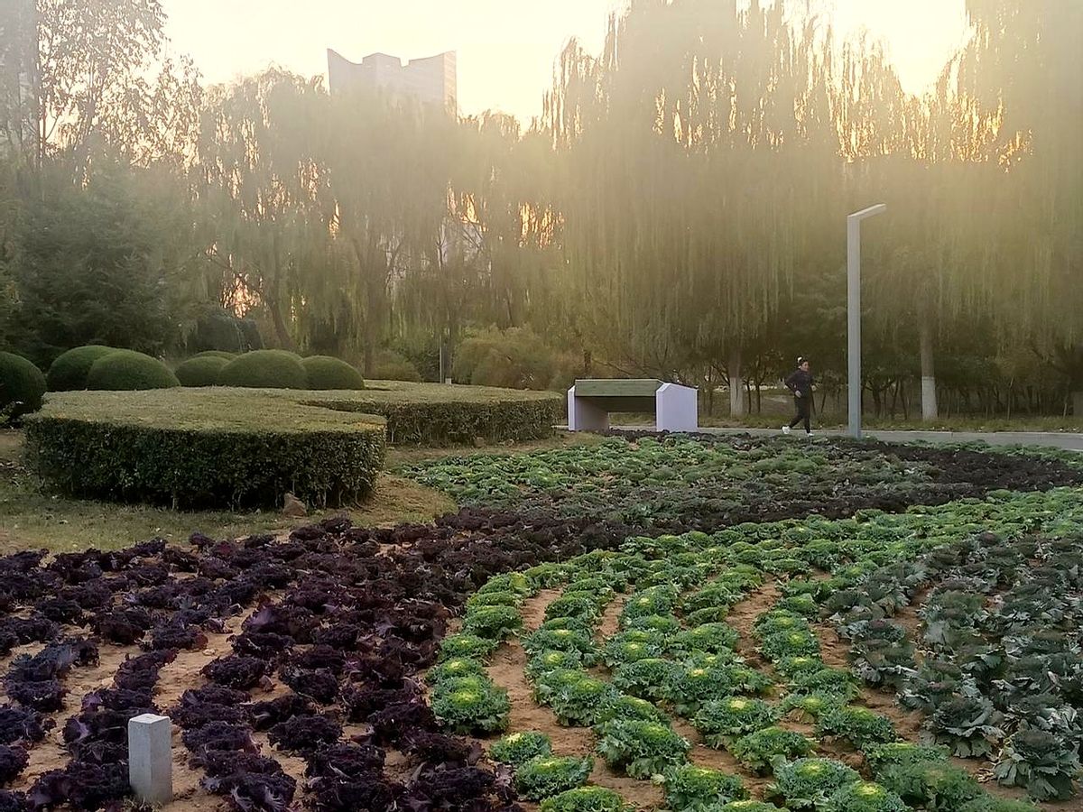 看似普通的三句话今天在微博冲上热搜—“亲戚要相互撑腰”“夫妻要并肩对付...