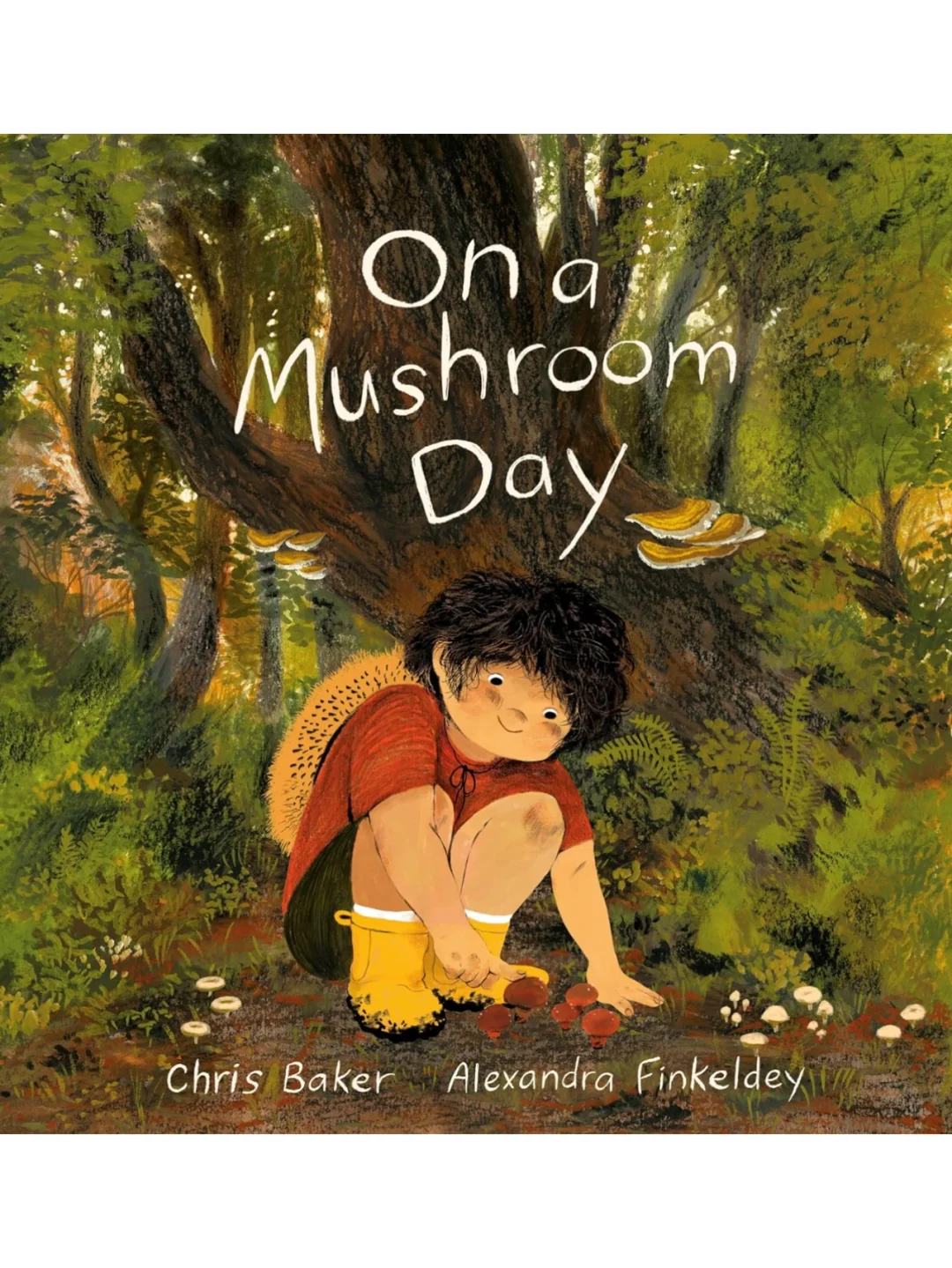 小众绘本| 蘑菇日 |去森林里探索真菌！